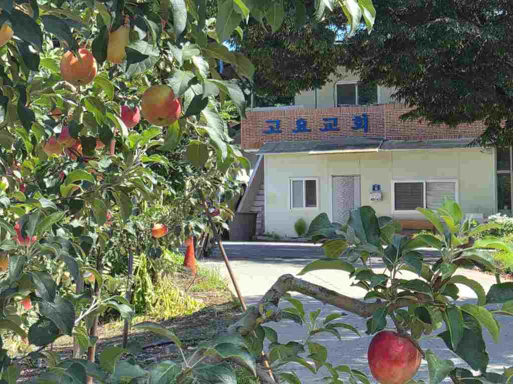 과수원 너머 교육관